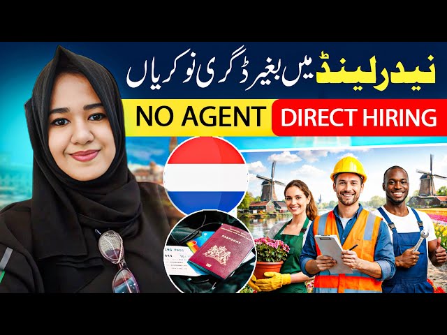 Netherlands Work Visa | Apply for Work Visa Online 2026 | Work Permit
