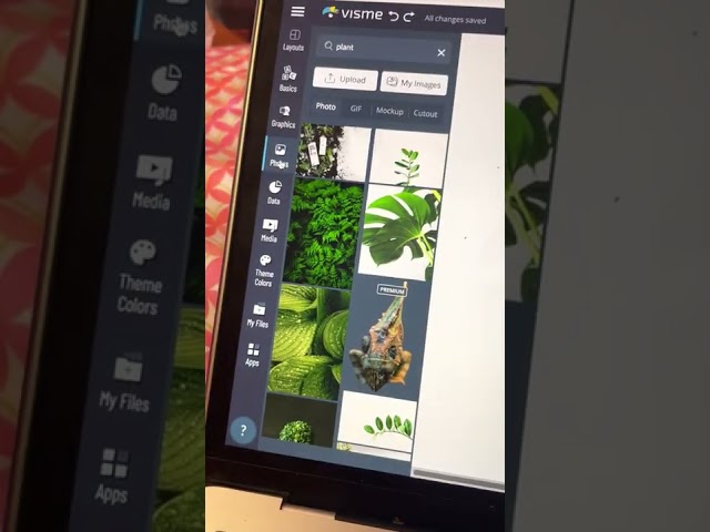 Web-based assessment assignment