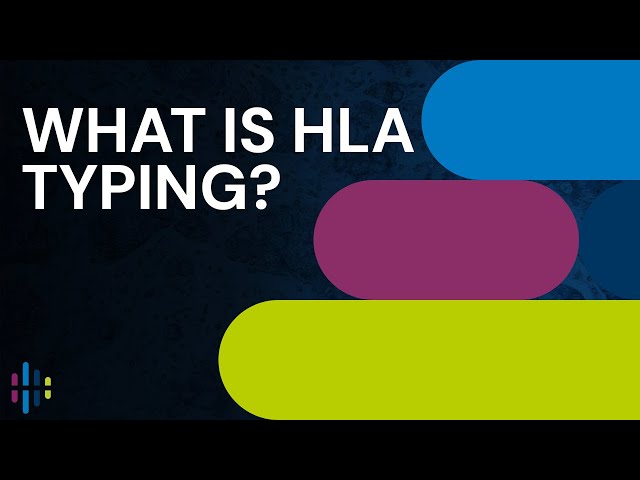What is HLA typing?