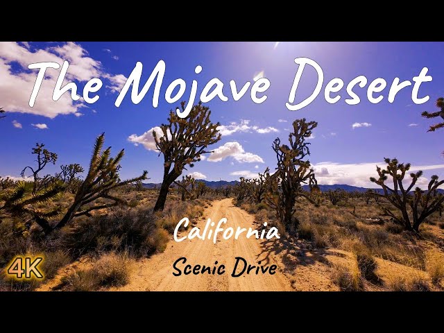 Scenic Drive - The Mojave Desert, California, USA