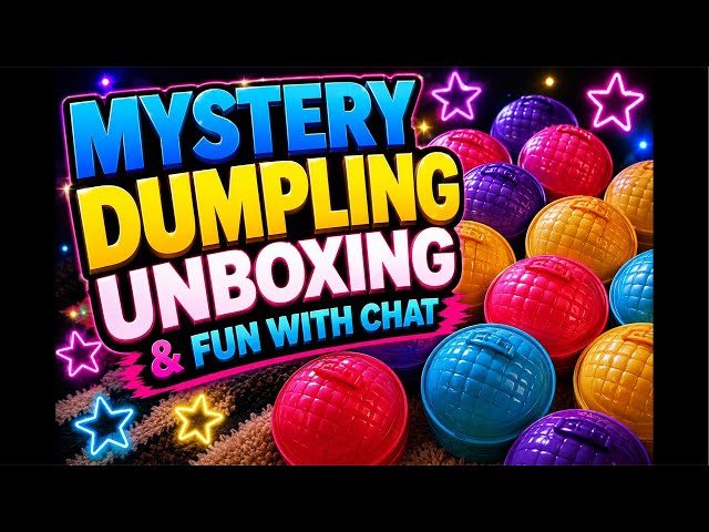 Mystery DUMPLING Unboxing & FUN WITH CHAT!😳