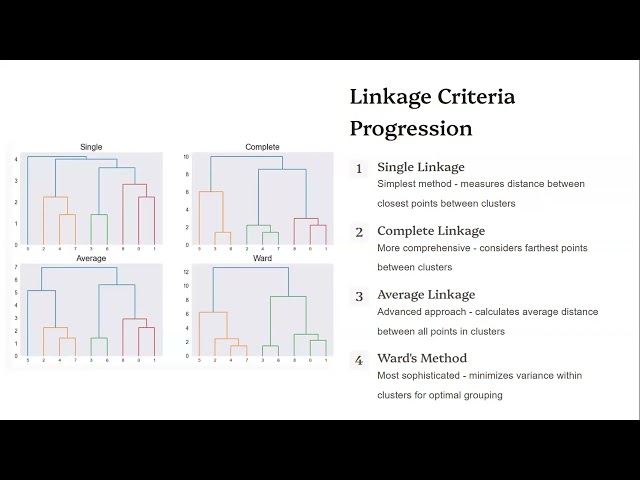 10PM PKT Machine Learning Basics to Advance with projects | Week 4 | Day 5