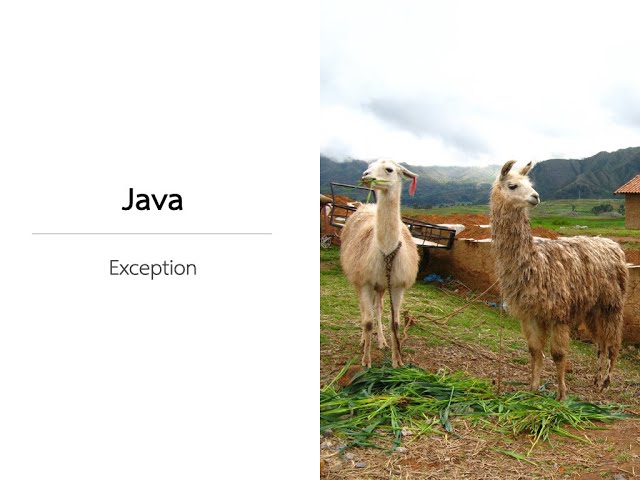 [Java Exception] 10. Flow การทำงานของ finally