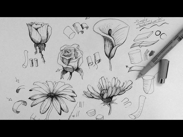 Pen & Ink Drawing Tutorial | How to draw flowers part 1