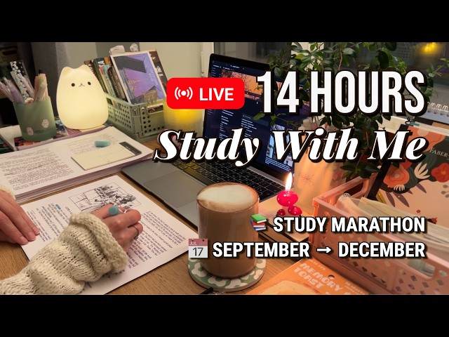 🍂 STUDY MARATHON 14 HOURS 🔥 Pomodoro 50/10 | Max Focus Session