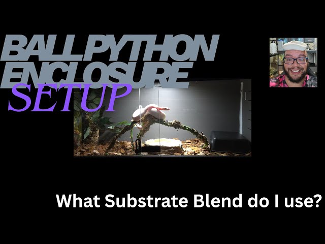 Setting up an EcoFlex Ball Python Enclosure!