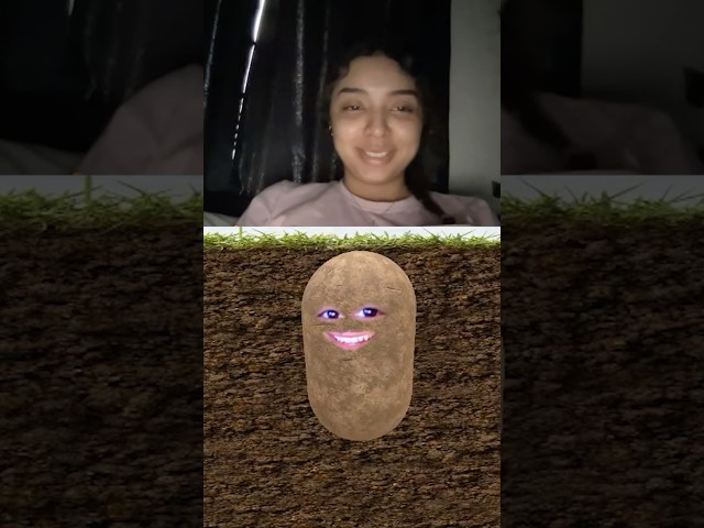 Potato potato #zebkii