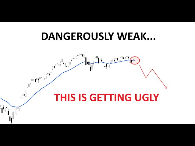 Technical Analysis of Stocks: SPY / QQQ / NVDA / TSLA / AMD / PLTR / AVGO / SNDK