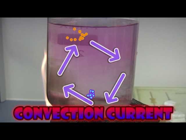 CONVECTION WITH THE SCIENCE GEEKS