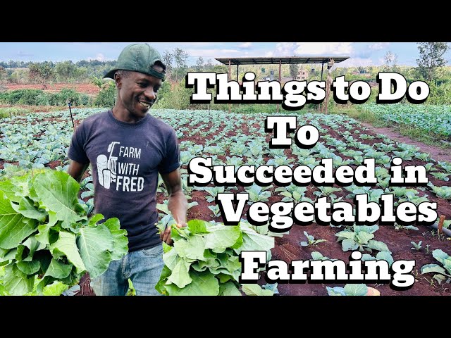 Things you need to know before starting vegetable Farming