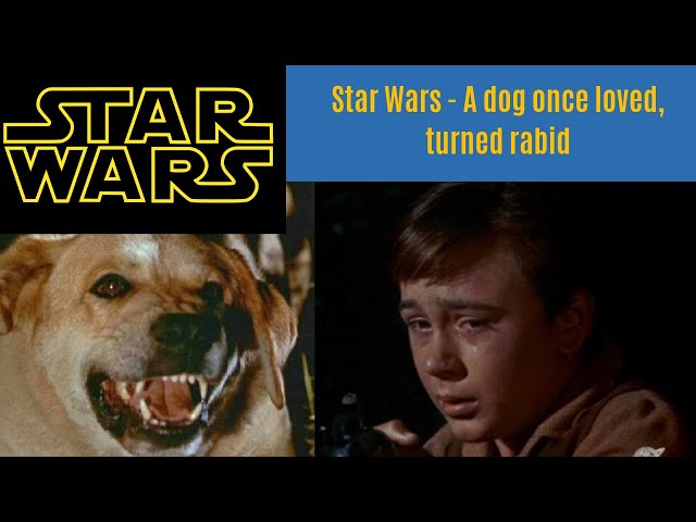 Star Wars - A Beloved dog, turned Rabid