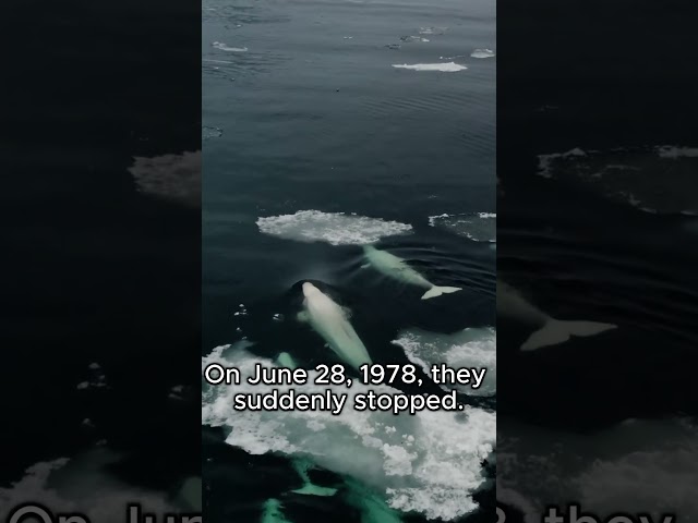 What did NASA find in the ocean?