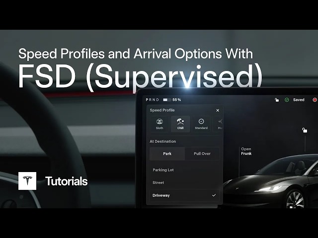 Speed Profiles and Arrival Options
