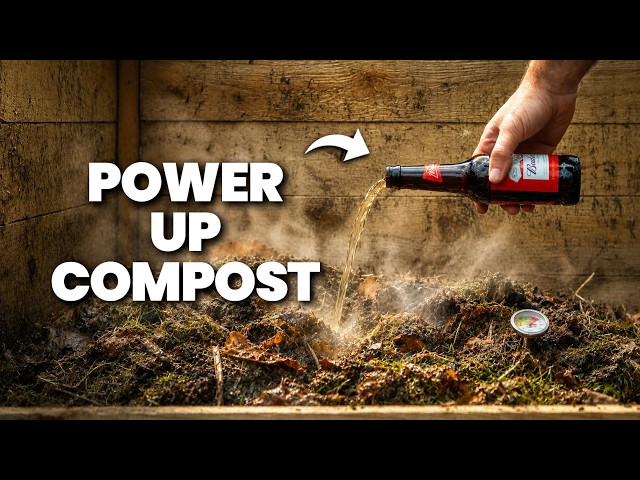 10 Composting Hacks to Turbocharge Your Slow Pile