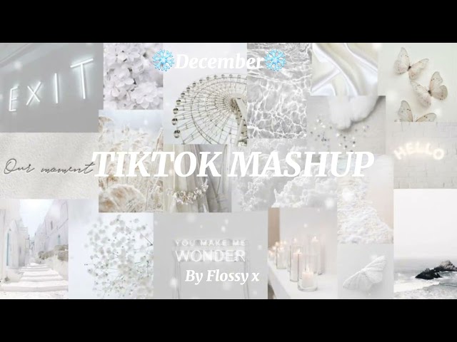 TikTok mashup ❄️December❄️ 2024 (not clean!)