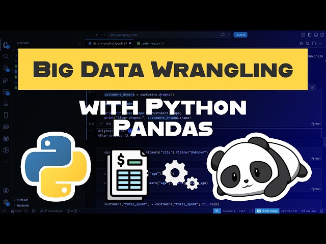 This Is How You Actually Clean Big Data with Pandas