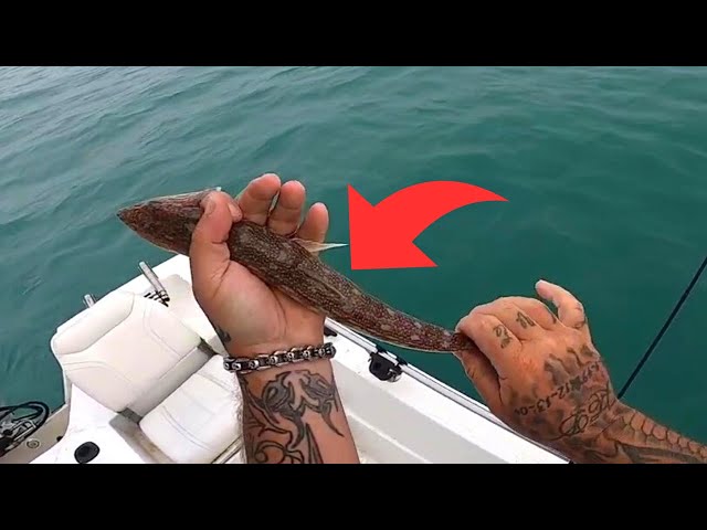 Will I REGRET eating this FISH??? LIZARD FISH CATCH,CLEAN and COOK