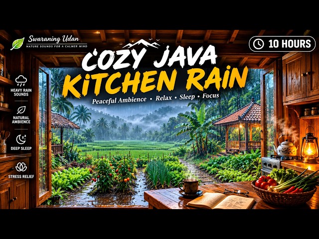 Rain Over Rice Fields from a Cozy Java Kitchen  10 Hours Sleep & Focus Sounds