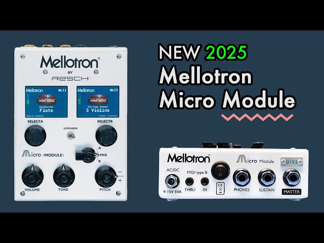 NEW Mellotron Micro Module - 2025 review and demonstration video
