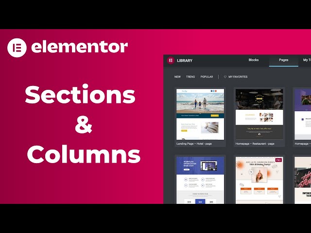 Elementor Sections & Columns Tutorial | How to Create, Edit & Delete | WordPress Elementor (2022)