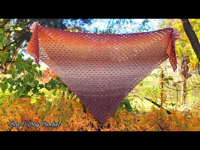 This QUICK and EASY Crochet Shawl Is Only A TWO Row Repeat / "Speed Of Light" Shawl