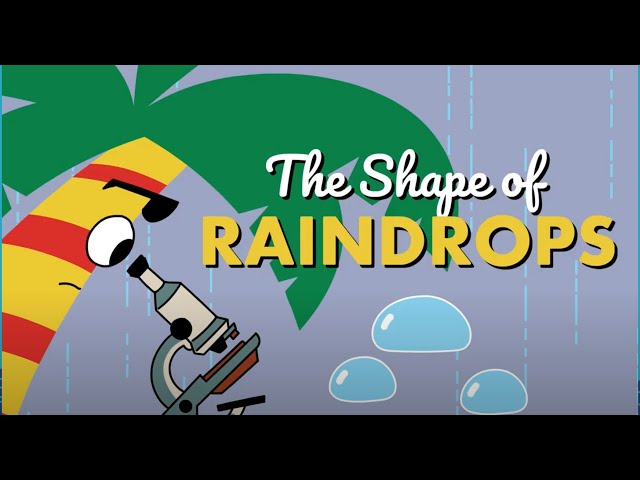 The Shape of Raindrops