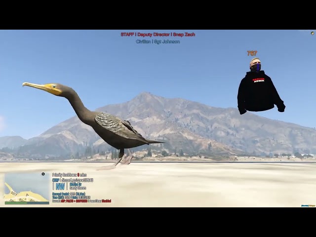 Super Duck but it was live