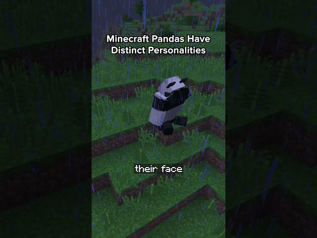 The Minecraft Pandas Have Personalities!