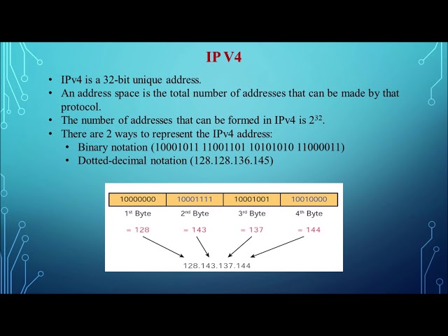Class 12 Computer Application Chapter 12 Domain Name Systems