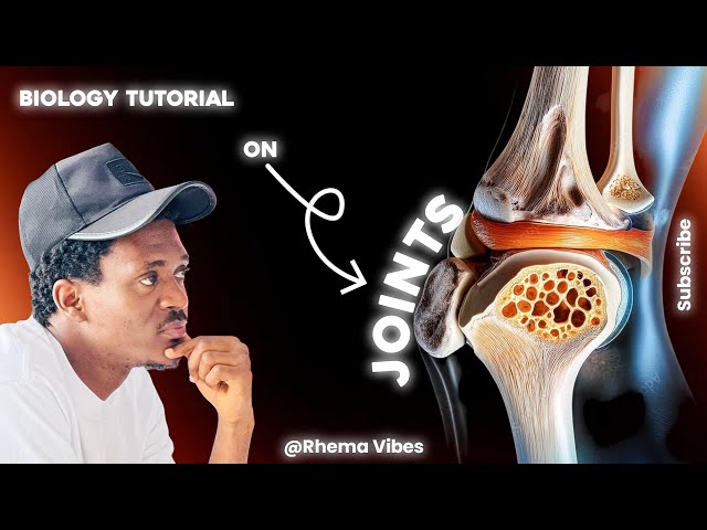 Joints(Structure & Function | Types)