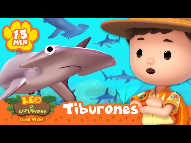 🦈 ¡Es el Día de la Concienciación sobre los Tiburones! | Leo, El Explorador | Animación