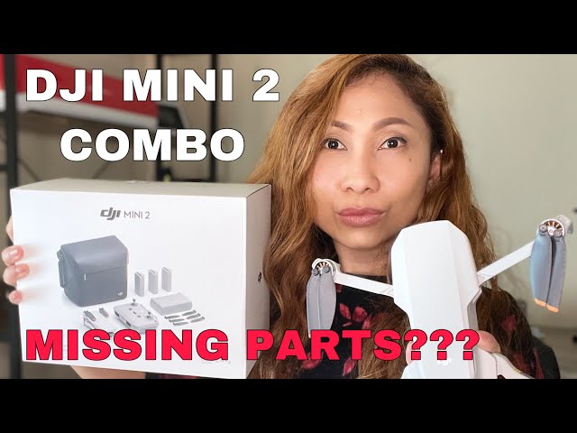 DJI Mini 2 Fly More Combo - 2nd Anniversary Surprise Gift