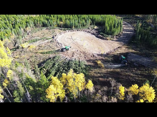 Logging Northern Alberta