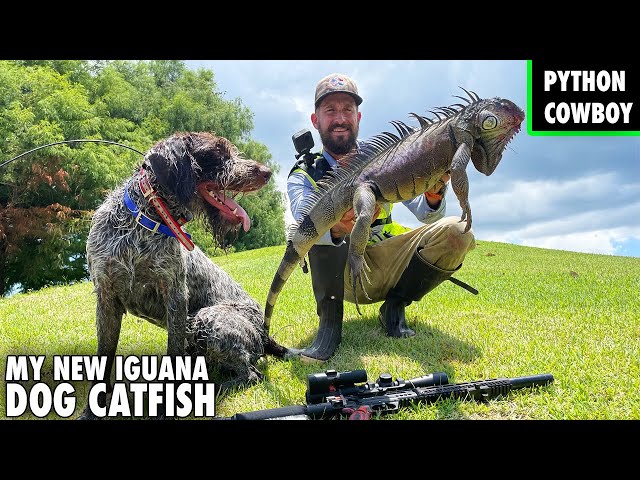 We Sold Otto And Got A New Iguana Dog Named Catfish