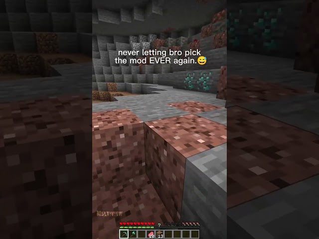 NEVER letting bro choose the mods again💀😥 #funny #minecraft