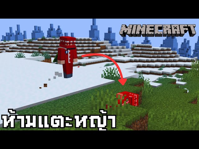 ห้ามแตะหญ้า | Minecraft