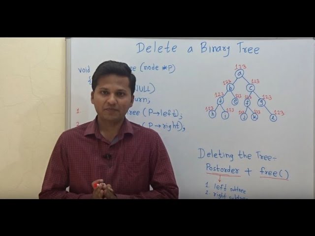 Delete a Binary Tree (all nodes in the binary tree)