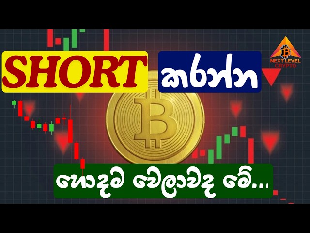 SHORT කරන්න හොදම වෙලාවද මේ... | BTC Update Sinhala