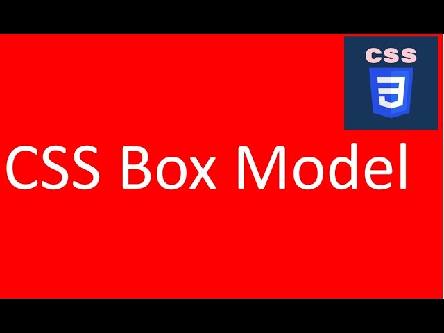 CSS Box Model