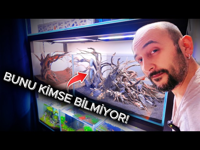 I Now Have 13 Aquariums, Let's Tour Them One by One!