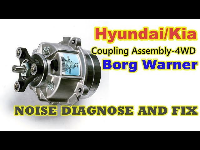 Coupling Assembly-4WD (Borgwarner) Repair