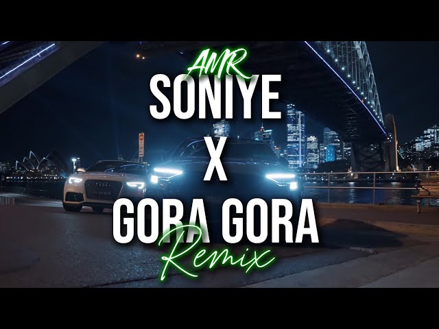 AMR x RDB - Soniye x Gora Gora (Remix)