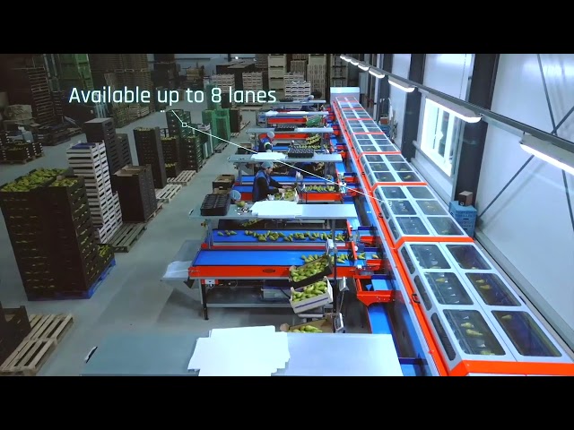 PERFECT-Sort vision system
