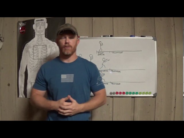 SPEAR review