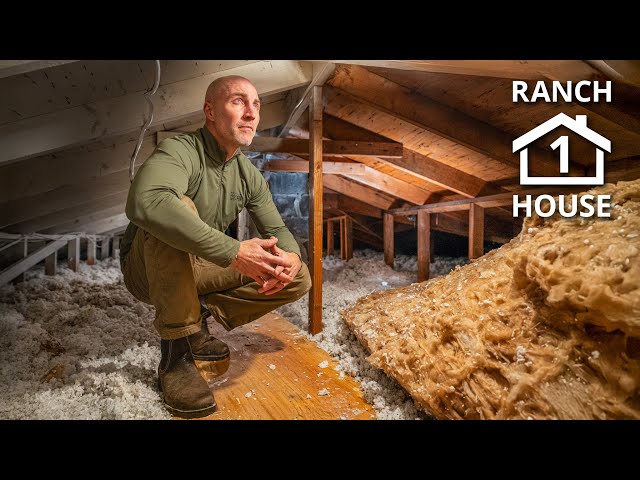 Bad Bones and What's Possible - Renovation ep. 1