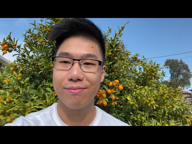 NSW Government Graduate Program: a day in the life of Matt, a data analytics graduate