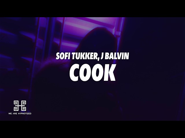 SOFI TUKKER, J Balvin - COOK (Lyrics)