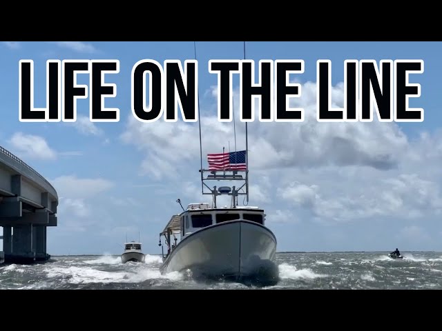Amendment 15 - Pelagic Longline Fishing