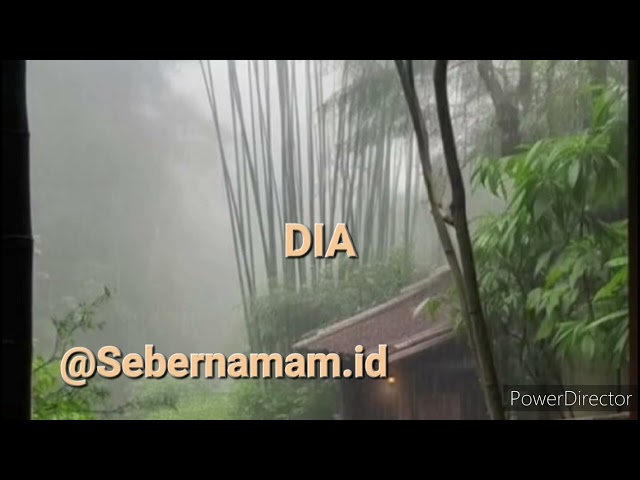 Dia @sebernaman 