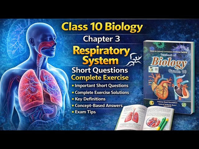 Class 10 Biology Chapter 3 | Respiratory System | Short Questions | Complete Exercise | FBISE